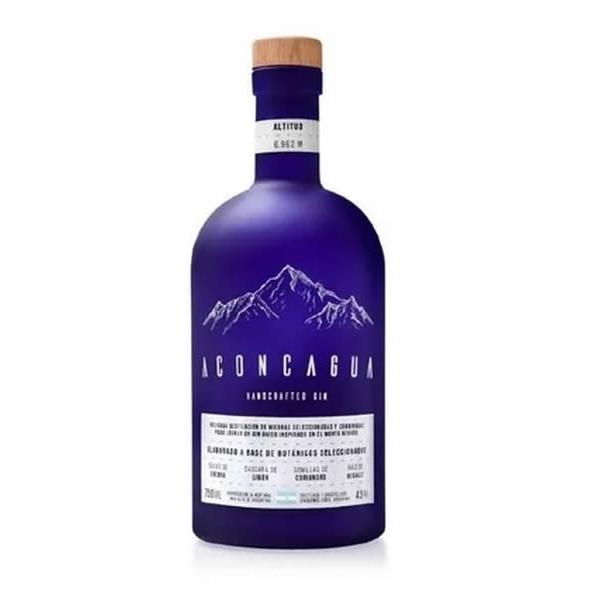 Aconcagua Violeta